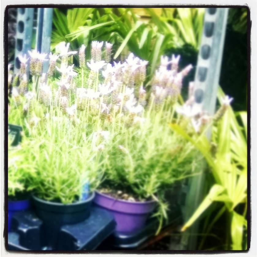 InstagramCapture_4e5baee5-5722-4449-a9ff-3a7cc81dde19