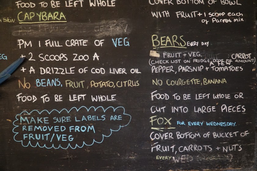 menüü backstage'is