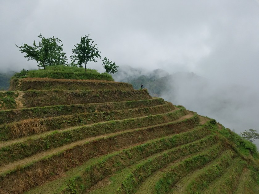 20180425_170216 (1).jpg